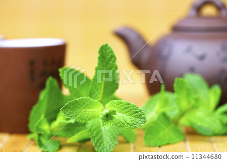 mint tea mint tea 11344680