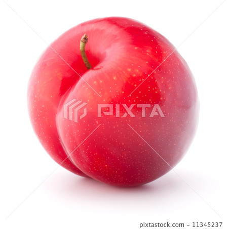 Sweet plum isolated on white background cutout Sweet plum isolated on white background cutout 11345237