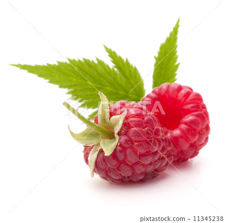 Sweet raspberry isolated on white background cutout 11345238