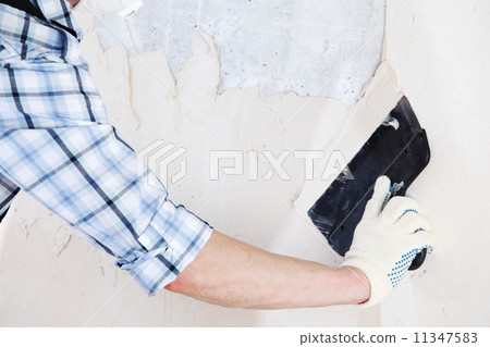 aligns wall 11347583