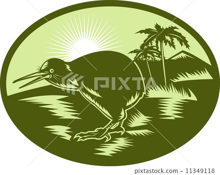 Kiwi bird side view with tree in background 11349118