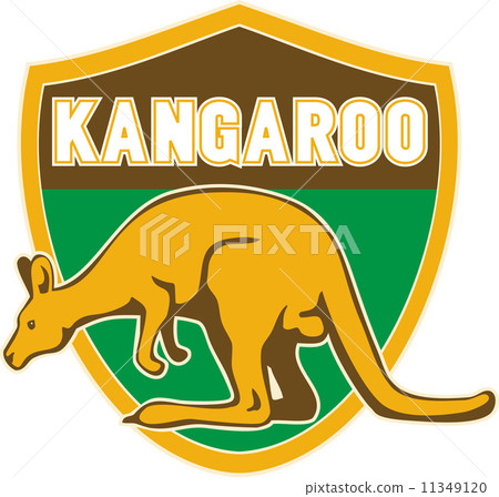 kangaroo sports mascot shield 11349120