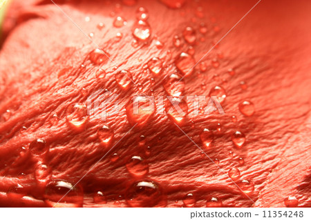 water 11354248