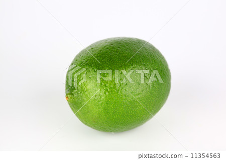 lime lime 11354563