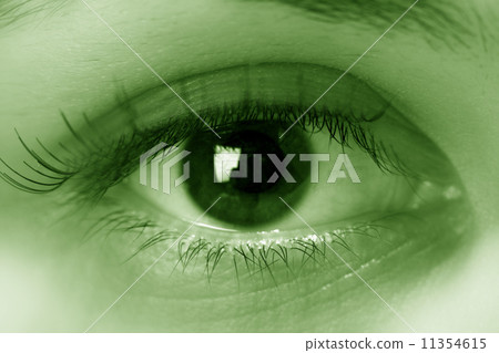 eye eye 11354615