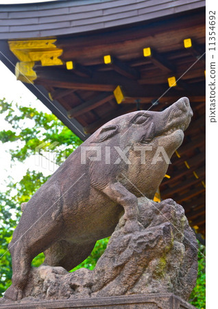 "Komo wild boar" of Kao shrine (Karasuma-ku Changji Chonmachiro Shuru Sakuraguru-cho, Kamigyo-ku, Kyoto City) "Komo wild boar" of Kao shrine (Karasuma-ku Changji Chonmachiro Shuru Sakuraguru-cho, Kamigyo-ku, Kyoto City) 11354692