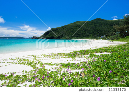 Okinawa's Ocean · Fun beach Okinawa's Ocean · Fun beach 11355170