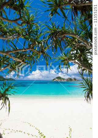 Okinawa's Sea - Awanna Beach 11355251