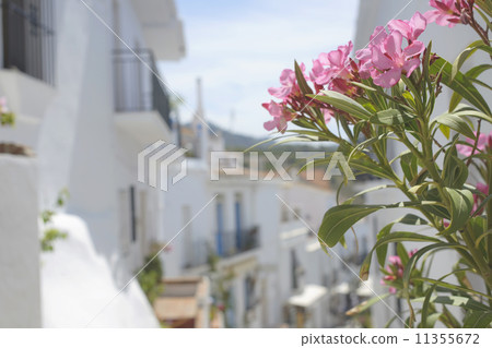 Frigiliana [Spain] 11355672