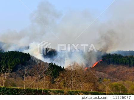 野火 野火 11356077