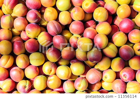 Fresh Organic Peaches 11356114