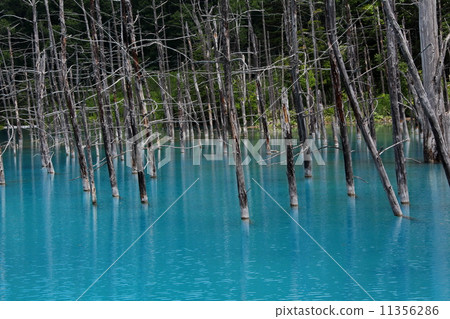 Blue pond Blue pond 11356286