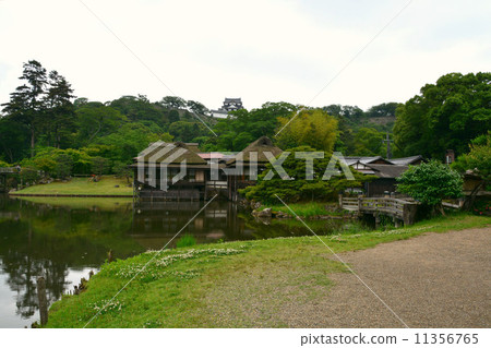 Hikone caste Gen Temple and Hikone Castle Tenson Hikone caste Gen Temple and Hikone Castle Tenson 11356765