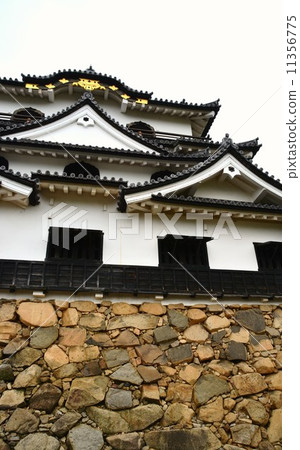 Hikone castle in early summer 11356775