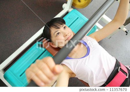 Bench Press 11357670