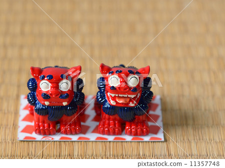 SHISA 11357748