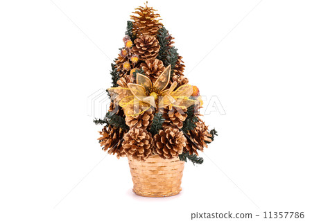 Christmas tree Christmas tree 11357786