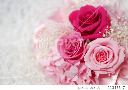 玫瑰保鮮花白色緩衝材料 11357847