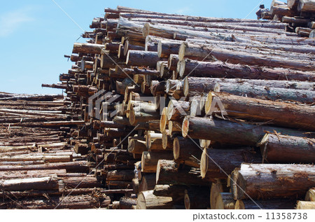 Woody biomass resources 11358738