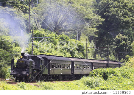 Oigawa Railway SL 11359563