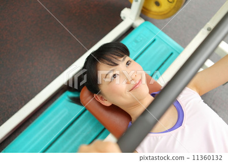Bench Press 11360132