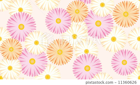 非洲菊模式 11360626