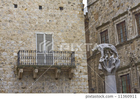 ancient she wolf in siena italy 11360911