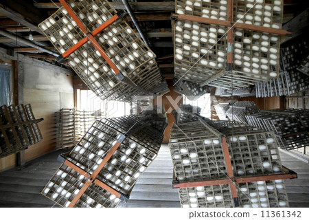 Rotating spur 11361342