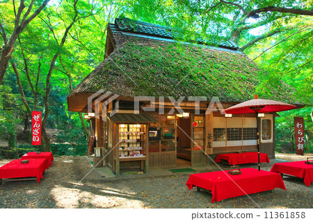 Forest teahouse 11361858