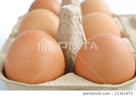 eggs in a carton box eggs in a carton box 11361873