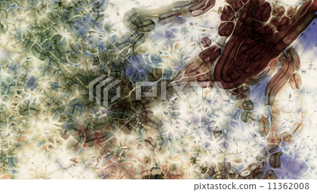 Fractal Organism 0142 11362008