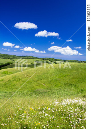 Grassland and clouds of Bihoro Town 11362333