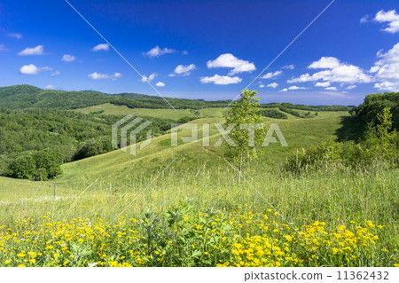 Grassland and clouds of Bihoro Town 11362432