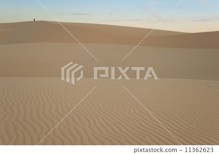 White sand dune. Mui Ne. Vietnam 11362623