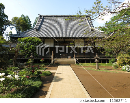 Golden Board of Noda City where buttons are blooming (Main Hall) Golden Board of Noda City where buttons are blooming (Main Hall) 11362741