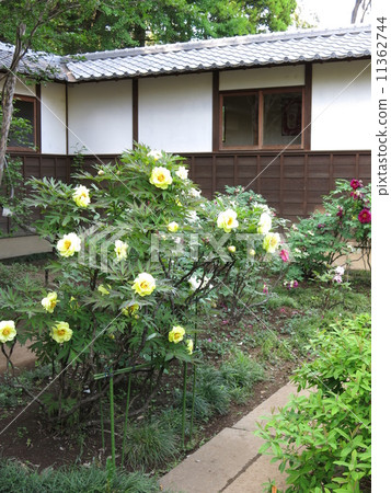 Golden Board of Noda City where buttons bloom Golden Board of Noda City where buttons bloom 11362744