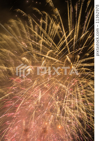 Fireworks Fireworks 11362978