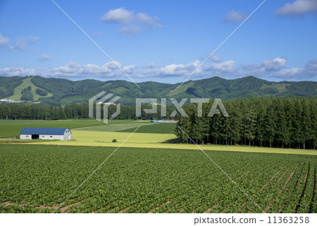 Rural scenery of Bihoro cho 11363258