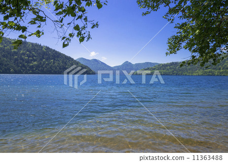 Lake Tibetsu in summer 11363488
