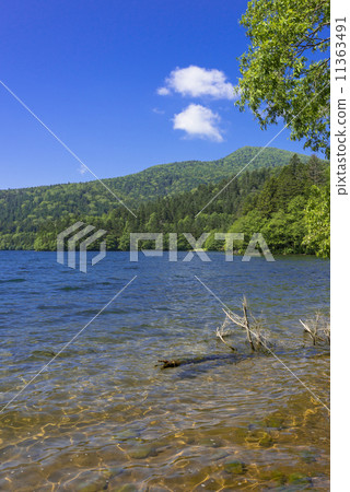 湖Tibetsu在夏天 11363491
