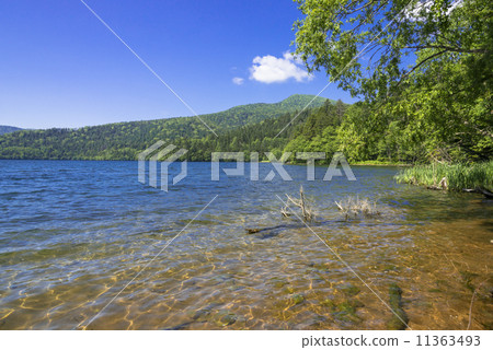 Lake Tibetsu in summer 11363493
