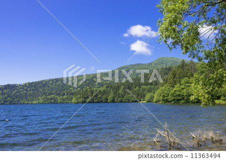 湖Tibetsu在夏天 11363494