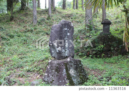 世界遺產 世界遺產 11363516