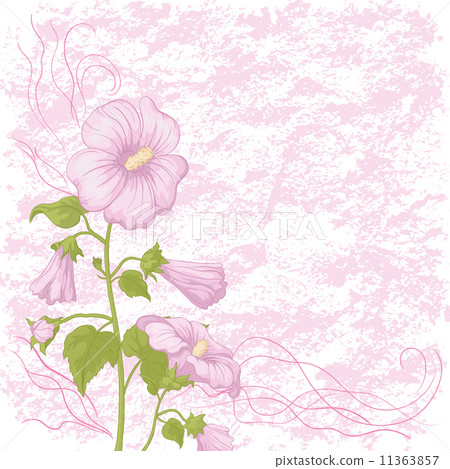 Holiday background with mallow flowers 11363857