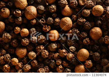 Pepper as background 11364074