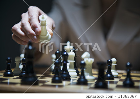 Female officer / manager Female officer / manager 11365367