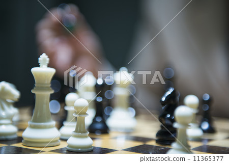 Female officer / manager Female officer / manager 11365377