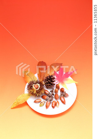食慾圖像的下降 食慾圖像的下降 11365855