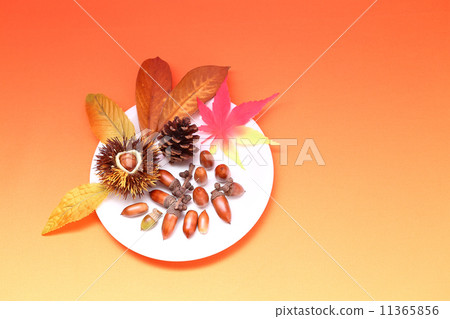 食慾圖像的下降 食慾圖像的下降 11365856