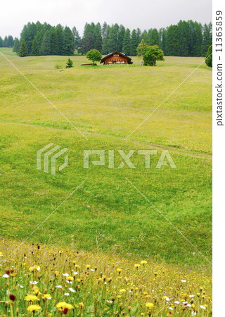 Alpe di Siusi Zaiser Alm Seiser Alm 11365859
